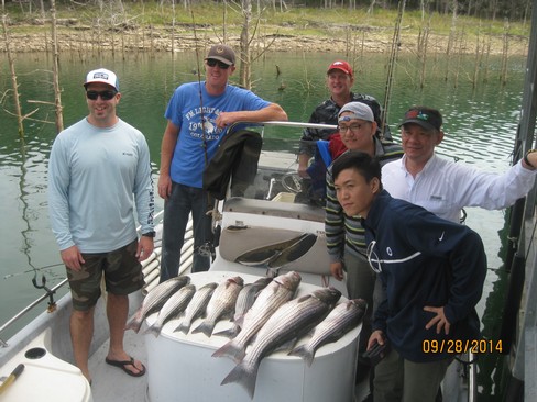 Nice Striped Bass